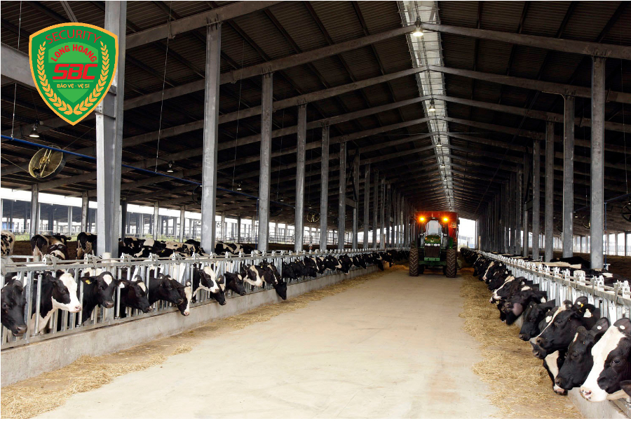 Dịch vụ bảo vệ trang trại, nông trường